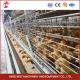 Hot Dipped Galvanized Chick Brooder Cage Automatic Ventilation Iris