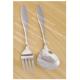 Stainless Steel Spoon & Fork