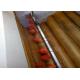 Industry Potato Cleaning Equipment , 500 - 2000kg / H Potato Brush Washer