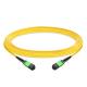 10m (33ft) 12 Fibers Female to Female MPO Trunk Cable OS2 9/125 Single Mode