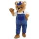 Bear costumes mascot costumes animated characters
