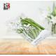 Clear Micro Perforated Fresh Vegetable Packaging Bag Food Preservation And Storage Usage