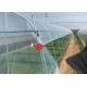 Plastic Polyethylene Film Greenhouse , Hydroponic Greenhouse For Vegetable Growing