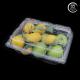Corrugated Plastic  Fruit And Vegetable Trays Containers  Storage Sturdy Reusable Shipping Boxes