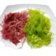 FROZEN Dried Seaweed Tosaka In Red Green Style Flavored Seasoned