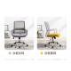 Standard Fixed Armrest Executive Ergonomic Office Chair