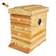 18mm Thickness Wax Coated Flow Bee Hive With Queen Excluder