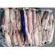 Whole Round Illex Squid Chinese Ocean Vessels Loligo Chinensis Bqf