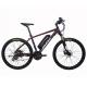 26 Inch 250W 350W Electric Mountain Bicycle 48V Lithium Battery And 24 Speed Gears