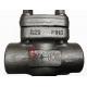 Stainless Steel Swing Check Valve 0.75 Inch Forged 800LB OEM Available