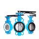 Di/Nylon/1.4469/1.4529//2507/CF8/CF8m Disc Material Wafer Lug Butterfly Valve
