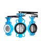 Di/Nylon/1.4469/1.4529/Saf2205/2507/CF8/CF8m Disc Material Wafer Lug Butterfly Valve