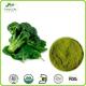 High Quality No Additive Pure Freeze Dried Broccoli Powder