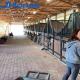 High Resistant Horse Stable Panels Horse Stall Fronts With Steel Tubes More Ventilation