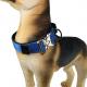18 16 Inch  Climbing Rope Dog Collar Stylish Identification Tag Custom Pet Collar Suppliers