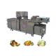 Air Bubble Type Fruit and Vegetable Washing Equipment Supplier