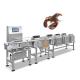 High Accuracy Australian Lobster Weight Sorting Machine 2 Level 6 Level Grading Machine