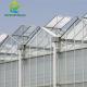 10.8m Width Hydroponic Lettuce Greenhouse Large Tempered Glass Greenhouse