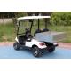 Customized Utility Electric Cargo Golf Cart 60V 48 volt