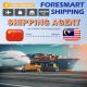 One Stop Service DDP Freight Forwarder China To Malaysia
