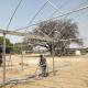 Film Covered Greenhouse for Agriculture in Namibia Affordable and Customizable Height