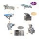 700Litre Onion Processing Production Line Powder Extracted Foshan