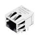 10/100/1000 Base-T Right Angle 10 Pin RJ45 Connector