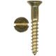 Yellow Brass Slotted Countersunk Head Tapping Screw for Wood  Furniture Wood Screws