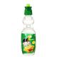 Lemon Flavor 500ml Carbonated Beverage Bottling for Low Fat Low Sugar OEM Carbonated Drinks