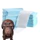 CE ISO Certified Pet Training Products Absorbent Dog Pads 90X60 60X60 cm for Pet Toilet