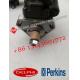 For Delphi Perkins Diesel Engine Fuel Injection Pump 9522A240W