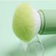 Kiwi Green Colorful Mini Makeup Brush Set PU Material / ABS Plastic Handles