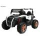 Powered Ride-On UTV with Ceiling,Kids Ride on Truck, Children Electric Ride on Car Parent Remote Control