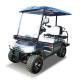 Black Electric 48 Volt 4 Seater Golf Cart 470kg Weight LED Lighting Low Speed