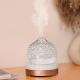 Glass Water Tank And Glass Cover Aroma Diffuser With Led Light▕ DN-851