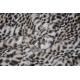 435GSM 100%P Leopard Print Fabric Wrinkle Resistant 150CM