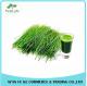 High Quality Green barley grass juice powder
