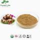 Mushroom Extract Powder / Phellinus Igniarius Extract