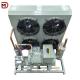 Industry Condensing Unit for Frequency Fan Cooling System Equipment For Cold Room