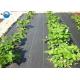 Wholesale OEM Black PP Woven Weed Barrier Ground Cover Fabric for Blueberry