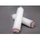 Polypropylene Absolute Cartridge Filter Vessels Micro Fiber Membrane Pleated For Beer Filtration