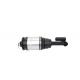 LR015018 Rear Left And Right Air Suspension Shock Absorber For Range Rover Sport L320 10-13