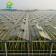 Insulated Automatic Agricultural Glass Greenhouse Commercial Turnkey Hydroponic Greenhouse