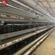Poultry Farm Hen Layer Chicken Cage H Frame Automatic Laying 8tiers
