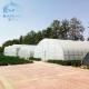 PE Film Growing Cabbage Agriculture Single-Span 10m Width Tunnel Plastic Greenhouse