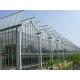 Simple Constructure Commercial Glass Greenhouse With Galvanized Steel Screws / Bolts