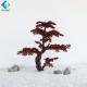 Ornamental Mini Fake Cypress Tree For Indoor Outdoor 5-10 Years Life Time