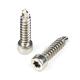 304 Stainless Steel Round Fillister Head Screw M6 Torx Screw with Customized Support
