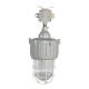 ATEX Explosion Proof Lamps Flameproof IP55 Optional Lamp Shade 220VAC 50-60Hz