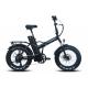 23.8kg Lightweight Electric Folding Bike , 250W 36V 20 Inch Folding E Bike